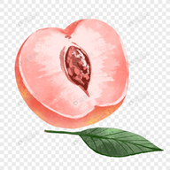 WWW,355se·COM网站APPAPP应用