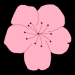 WWW,922av·COM网站APPAPP应用
